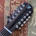 Rhythmic Richness: Why 12-String Guitars Sound Superior