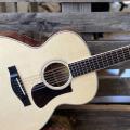 The Unique Charm of 12-String Guitars: An Introduction